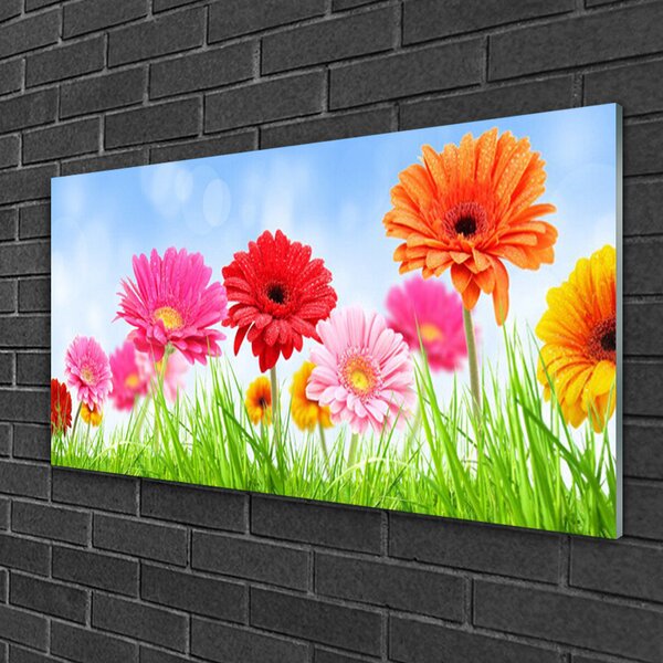 Quadro di vetro Fiori Erba Pianta 100x50 cm 2 appendini