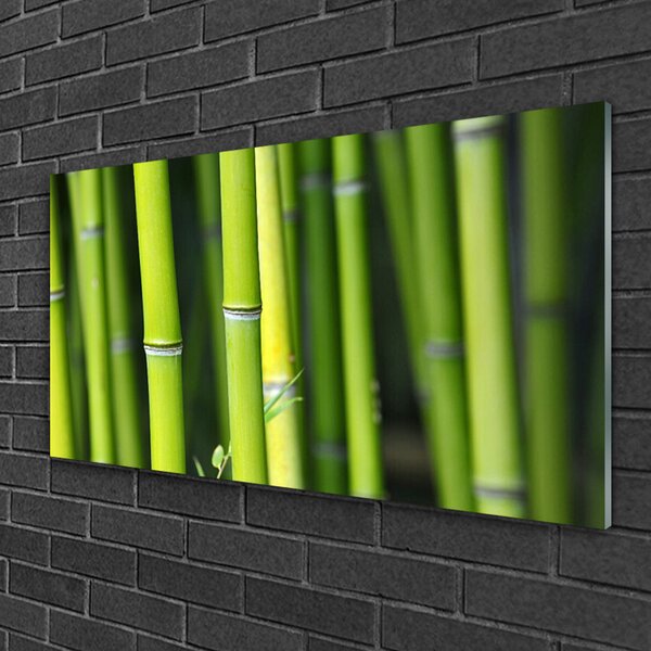 Quadro in vetro Bambù Pianta Naturale 100x50 cm 2 appendini