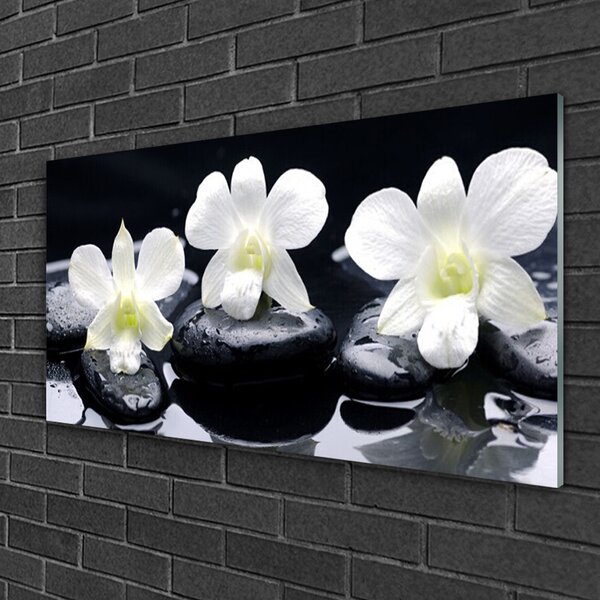 Quadro di vetro Pianta di orchidea 100x50 cm 2 appendini
