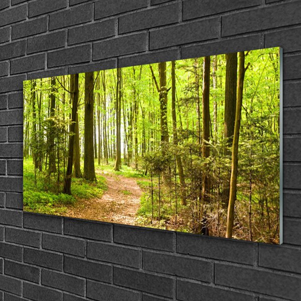 Quadro in vetro Percorso naturalistico della foresta 100x50 cm 2 appendini