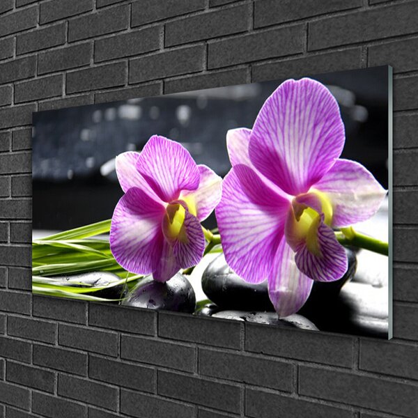 Quadro su vetro Fiori Pianta naturale 100x50 cm 2 appendini