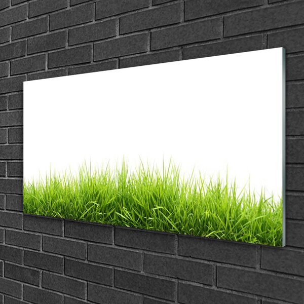 Quadro su vetro Erba Natura Pianta 100x50 cm 2 appendini