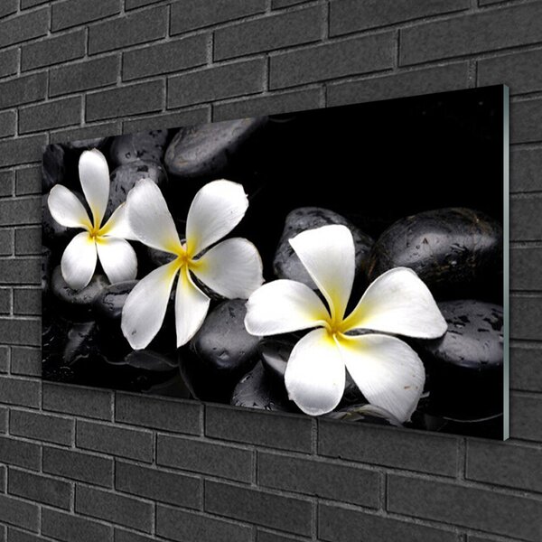 Quadro vetro Pianta di fiori di plumeria 100x50 cm 2 appendini