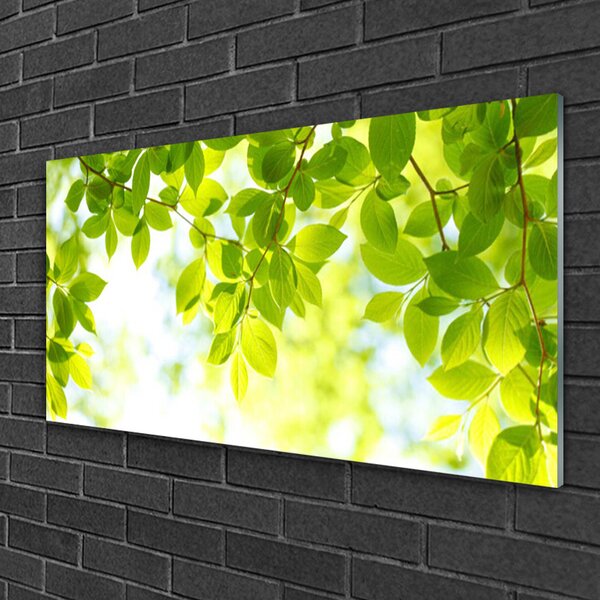 Quadro su vetro Foglia Natura Pianta 100x50 cm 2 appendini
