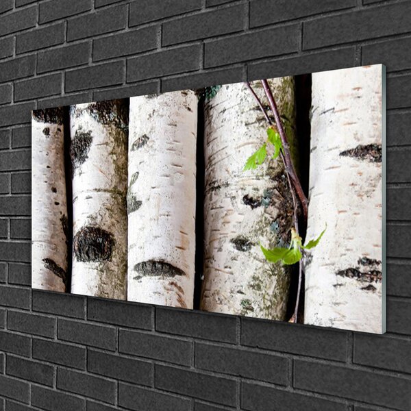 Quadro in vetro Alberi della natura 100x50 cm 2 appendini