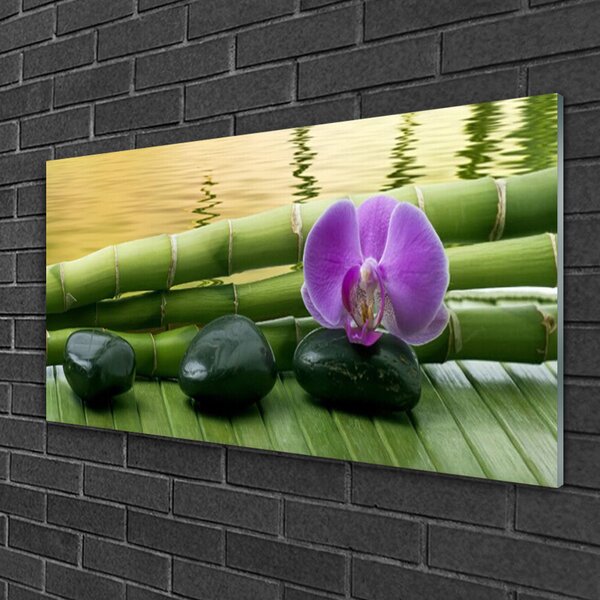 Quadro di vetro Pietre di fiori Bambù Natura 100x50 cm 2 appendini