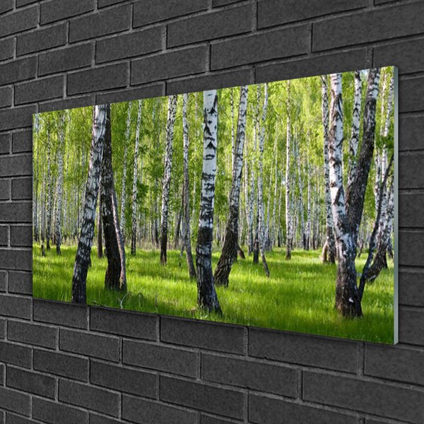 Quadro di vetro Foresta Alberi Natura 100x50 cm 2 appendini