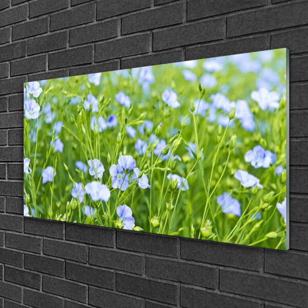 Quadro vetro Fiori Erba Pianta Natura 100x50 cm 2 appendini