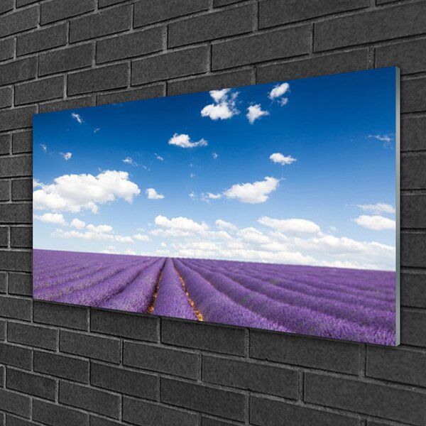 Quadro di vetro Prato Fiori Natura Pianta 100x50 cm 2 appendini