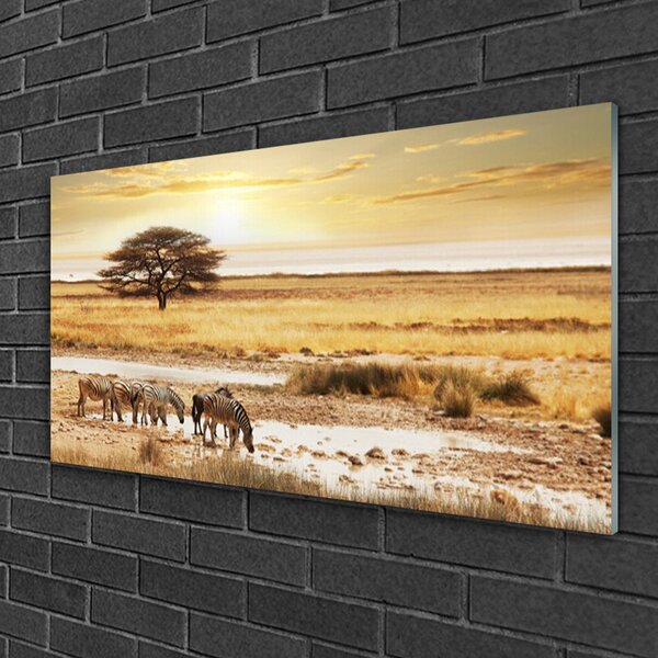 Quadro su vetro Paesaggio safari con zebre 100x50 cm 2 appendini