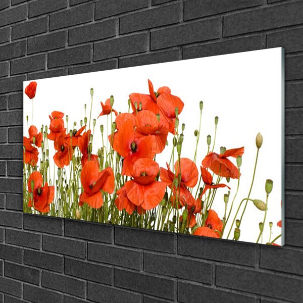 Quadro vetro Papaveri Pianta Naturale 100x50 cm 2 appendini