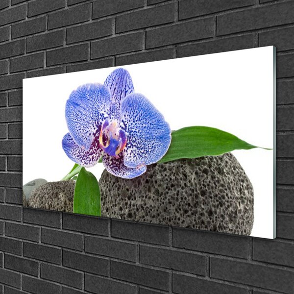 Quadro in vetro Fiore Pianta naturale 100x50 cm 2 appendini