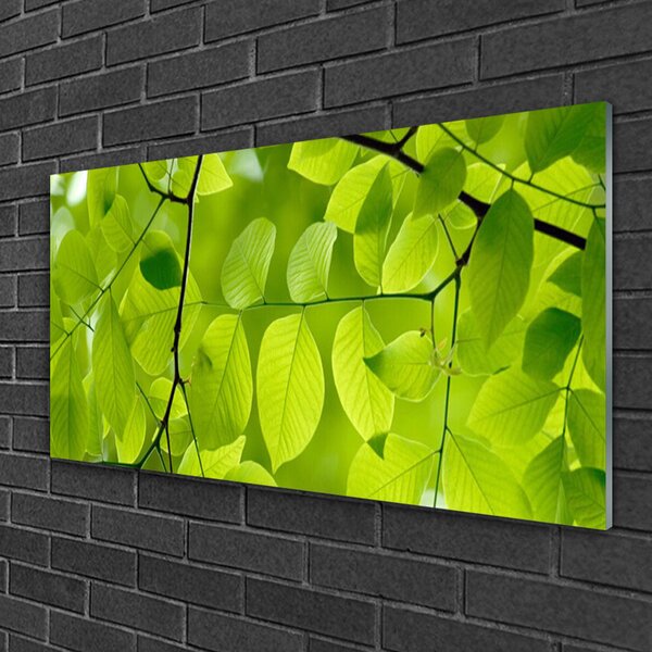 Quadro vetro Foglia Natura Pianta 100x50 cm 2 appendini