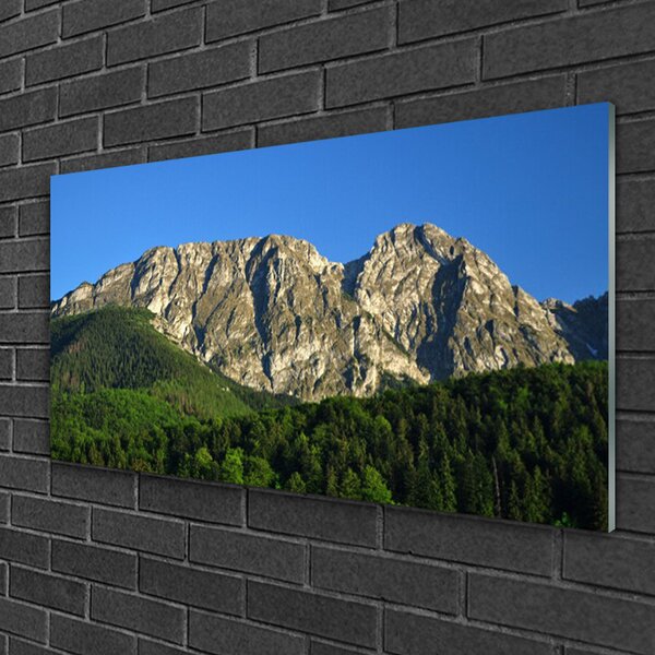 Quadro vetro Montagna Foresta Natura 100x50 cm 2 appendini