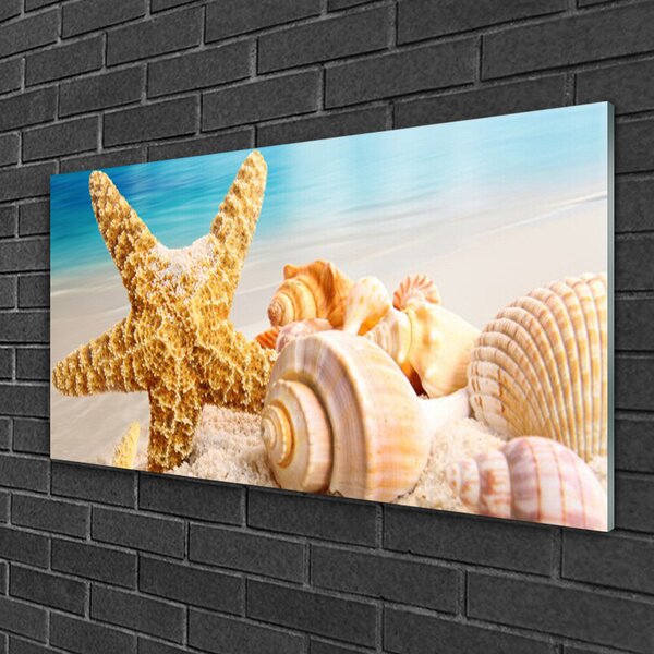 Quadro vetro Arte della conchiglia a forma di stella marina 100x50 cm 2 appendini
