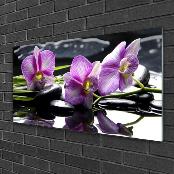 Quadro in vetro Pianta di orchidea da fiore 100x50 cm 2 appendini
