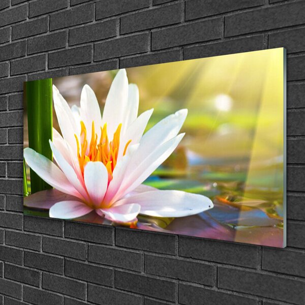 Quadro in vetro Fiori Pianta naturale 100x50 cm 2 appendini