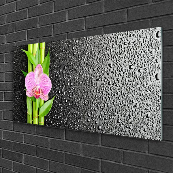 Quadro vetro Pianta di bambù a stelo fiorito 100x50 cm 2 appendini