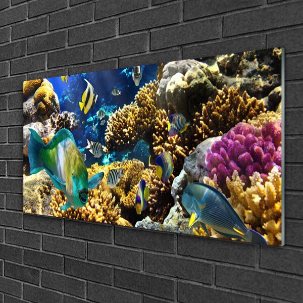Quadro su vetro Natura della barriera corallina 100x50 cm 2 appendini