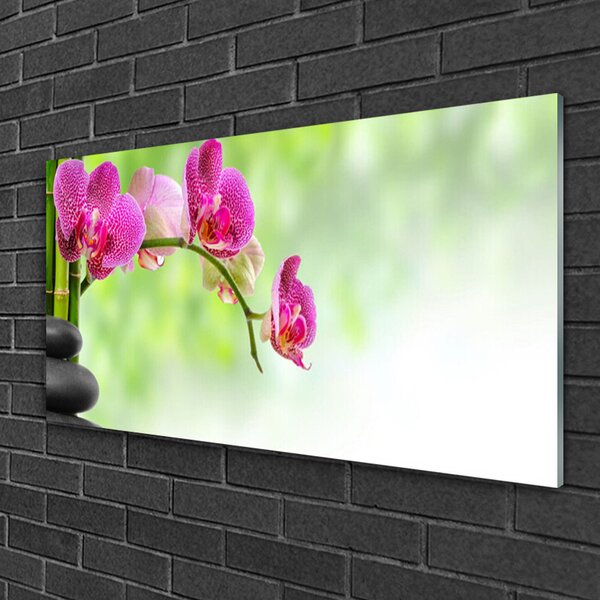 Quadro in vetro Fiore della natura Bambù 100x50 cm 2 appendini