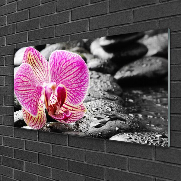 Quadro in vetro Pietre di fiori Orchidea 100x50 cm 2 appendini