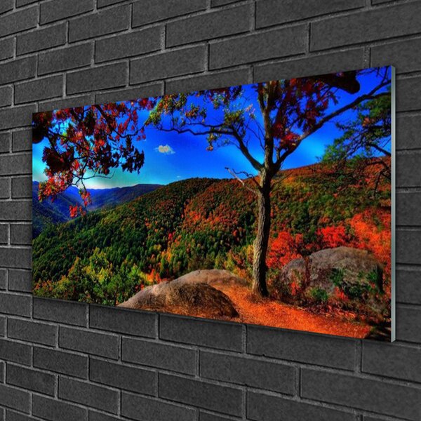 Quadro su vetro Montagna Foresta Natura 100x50 cm 2 appendini