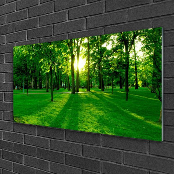 Quadro in vetro Parco Forestale Natura 100x50 cm 2 appendini