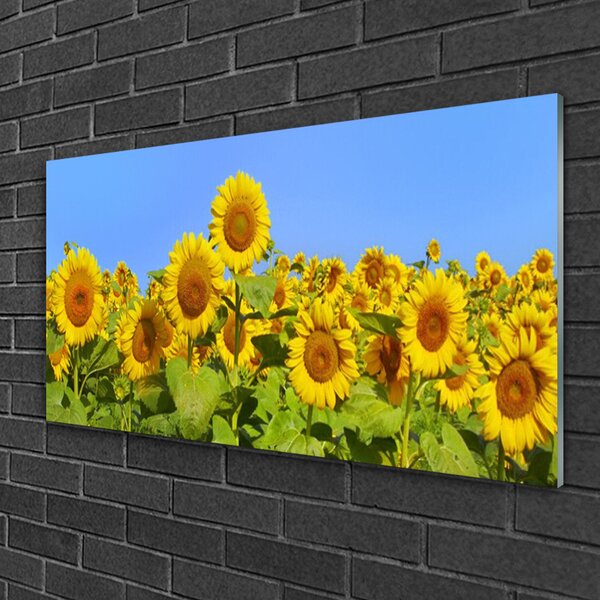Quadro su vetro Pianta di girasole 100x50 cm 2 appendini