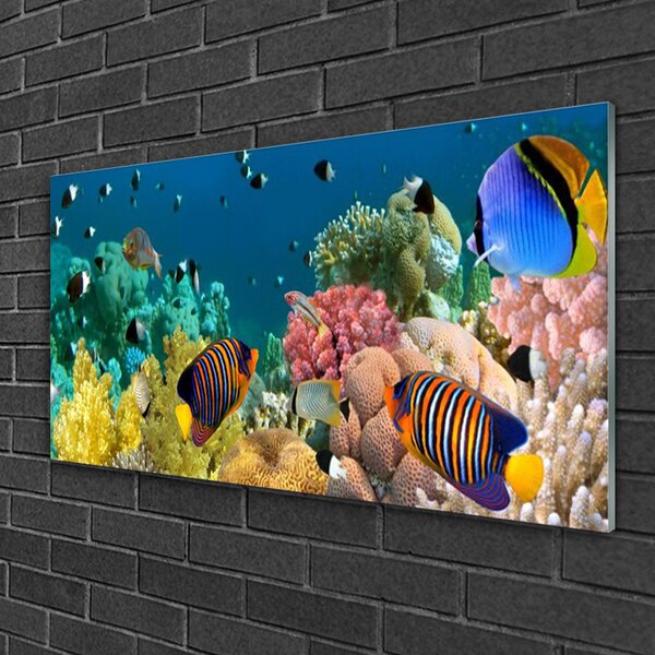 Quadro in vetro Natura della barriera corallina 100x50 cm 2 appendini