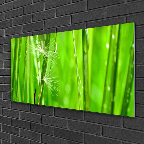Quadro su vetro Erba Pianta Natura 100x50 cm 2 appendini