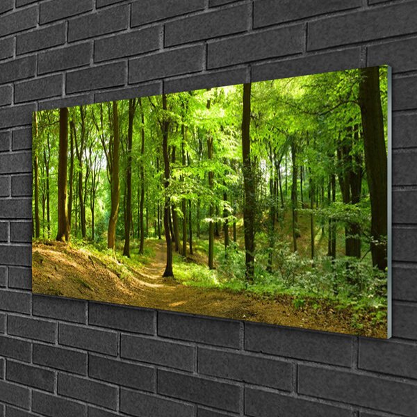 Quadro in vetro Percorso naturalistico della foresta 100x50 cm 2 appendini