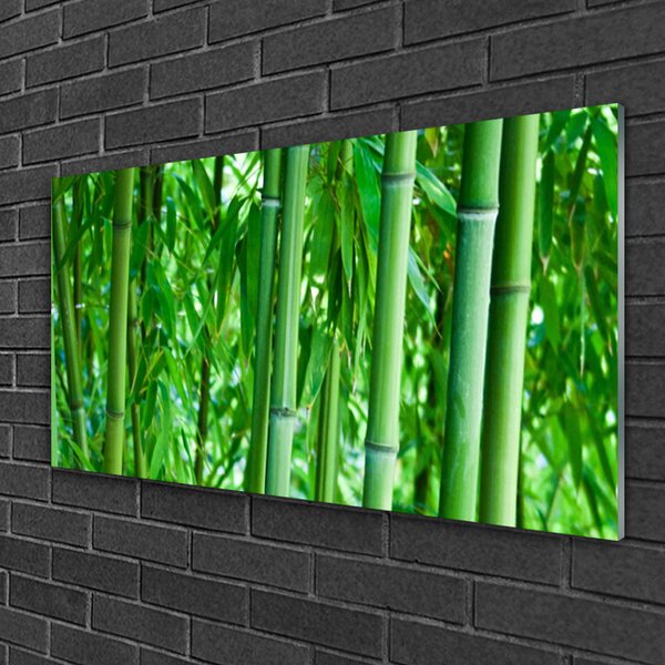 Quadro in vetro Pianta a stelo di bambù 100x50 cm 2 appendini