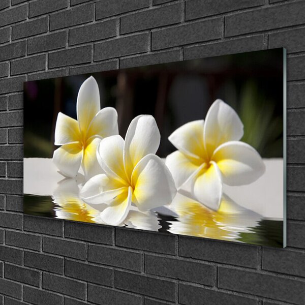 Quadro in vetro Fiori Pianta naturale 100x50 cm 2 appendini