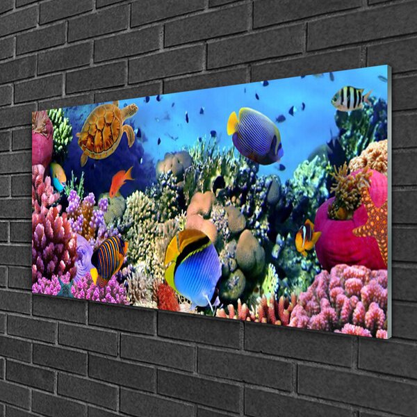 Quadro in vetro Natura della barriera corallina 100x50 cm 2 appendini