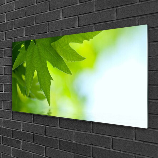 Quadro di vetro Foglia Natura Pianta 100x50 cm 2 appendini