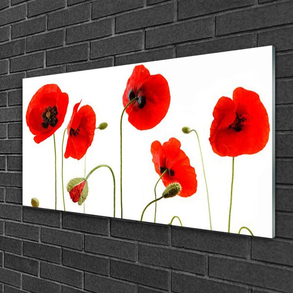 Quadro su vetro Papaveri Pianta Naturale 100x50 cm 2 appendini