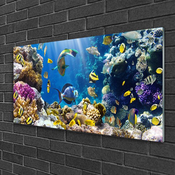 Quadro di vetro Natura della barriera corallina 100x50 cm 2 appendini