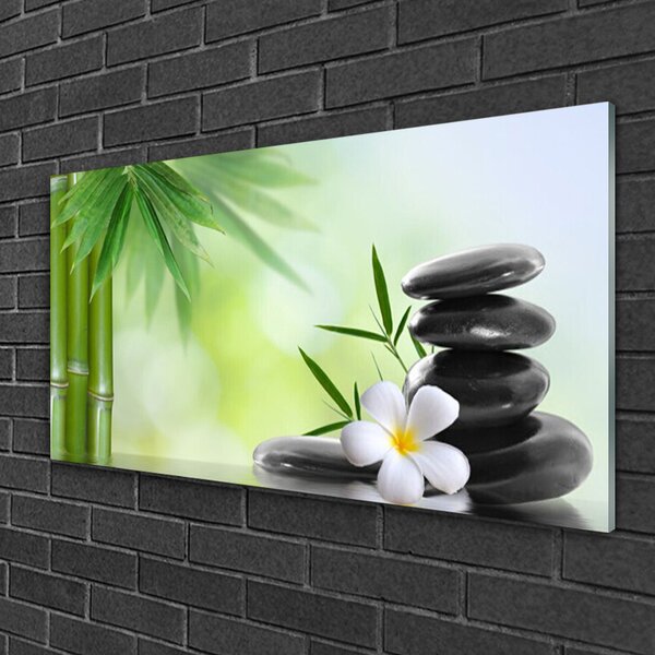 Quadro su vetro Pianta di bambù a stelo fiorito 100x50 cm 2 appendini