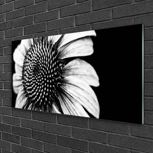 Quadro di vetro Fiore Pianta naturale 100x50 cm 2 appendini