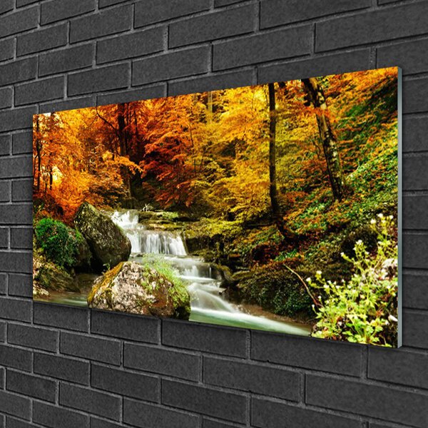 Quadro vetro Cascata Foresta Natura 100x50 cm 2 appendini
