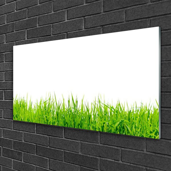 Quadro vetro Erba Natura Pianta 100x50 cm 2 appendini