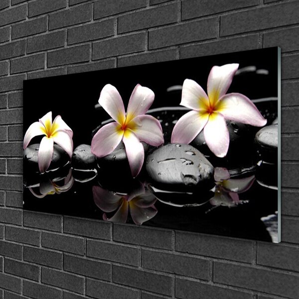 Quadro in vetro Pietre da fiore Pianta 100x50 cm 2 appendini