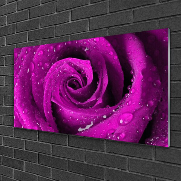 Quadro in vetro Fiore di rosa pianta naturale 100x50 cm 2 appendini