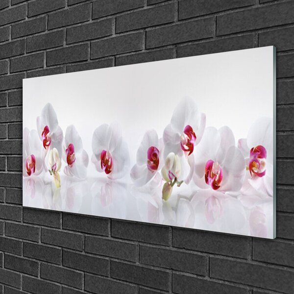 Quadro in vetro Fiori Pianta naturale 100x50 cm 2 appendini