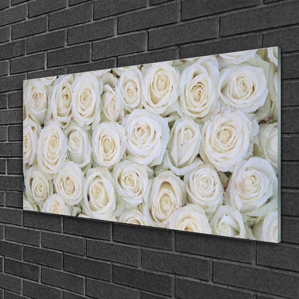 Quadro su vetro Rose Fiori Pianta 100x50 cm 2 appendini