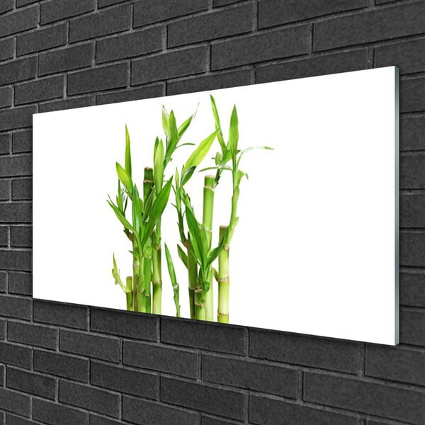 Quadro in vetro Pianta di bambù a stelo fiorito 100x50 cm 2 appendini