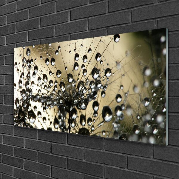 Quadro su vetro Pianta di dente di leone 100x50 cm 2 appendini