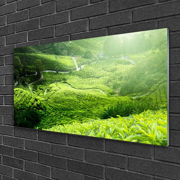 Quadro in vetro Prato naturale 100x50 cm 2 appendini