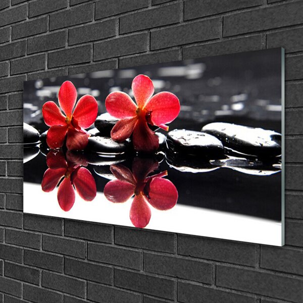 Quadro in vetro Pietre da fiore Pianta 100x50 cm 2 appendini