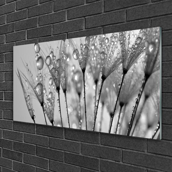 Quadro su vetro Pianta di dente di leone 100x50 cm 2 appendini